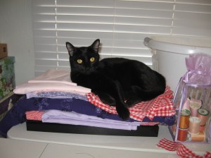 "yea, well, ya should have asked me first..."