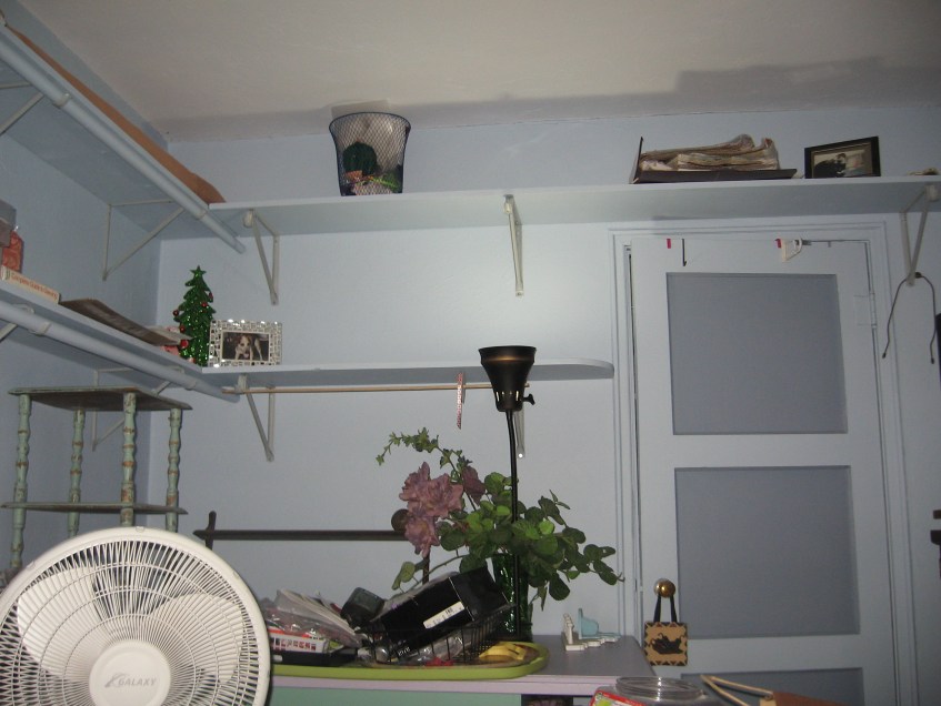 shelves she built in her bedroom/office/TV room