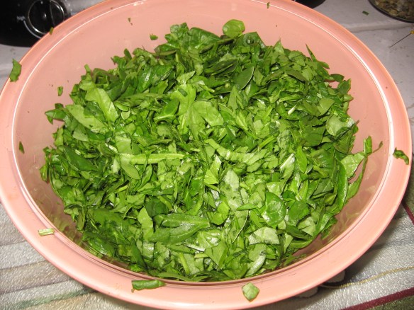 Super Anti-Inflammatory Salmon Salad Dip