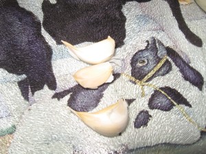 Super Anti-Inflammatory Salmon Salad Dip