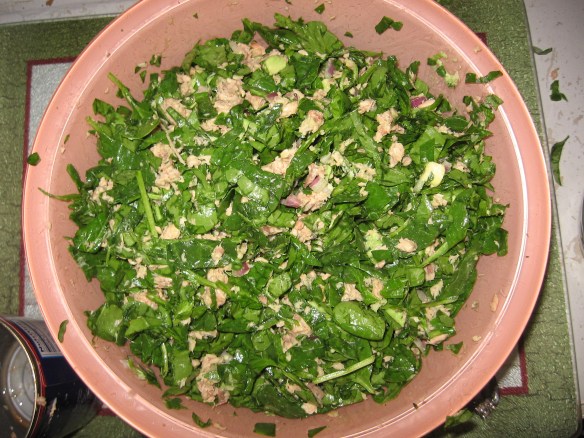 Super Anti-Inflammatory Salmon Salad Dip