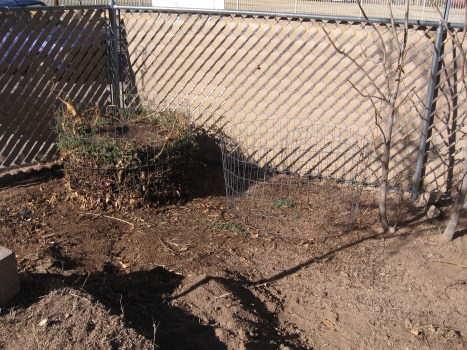 Compost Heaps out in Ms. SpoolTeacher's yard