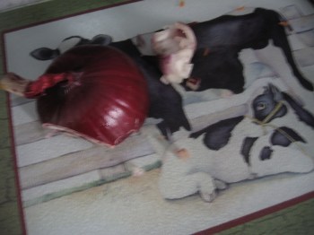 using up 1/2 piece red onion