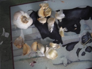 One small garlic bulb, peeled and sliced about 1/8 inch