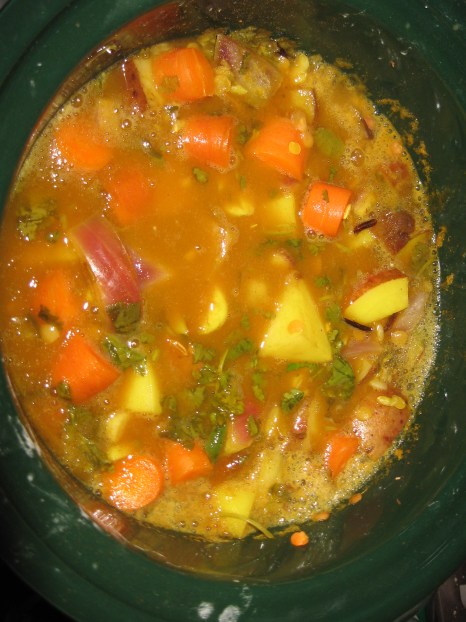 Crock Pot Kitchen Sink Stew