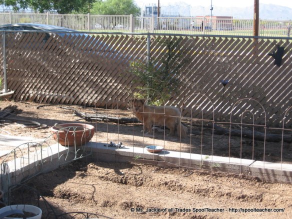 Little Red-Haired Girl helping