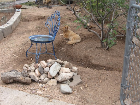 Happy Little Red-Haired Girl