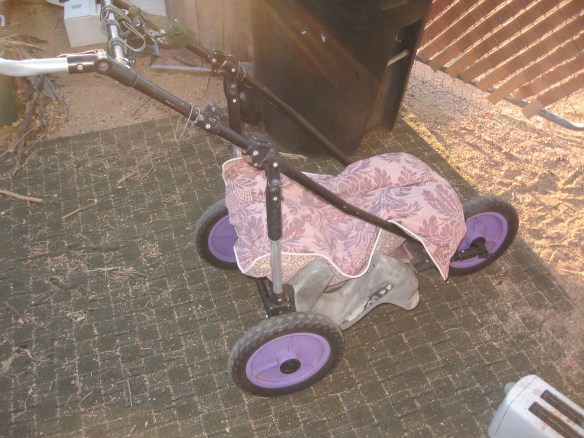Three wheeled throne for Little Red-Haired Girl to ride around the neighborhood on.