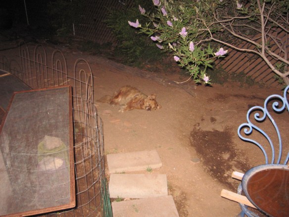 Girls sleeps outside sometimes on hot hot nights