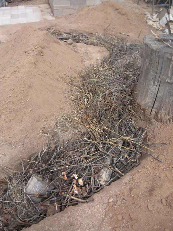logs, sticks and twigs in the trench first