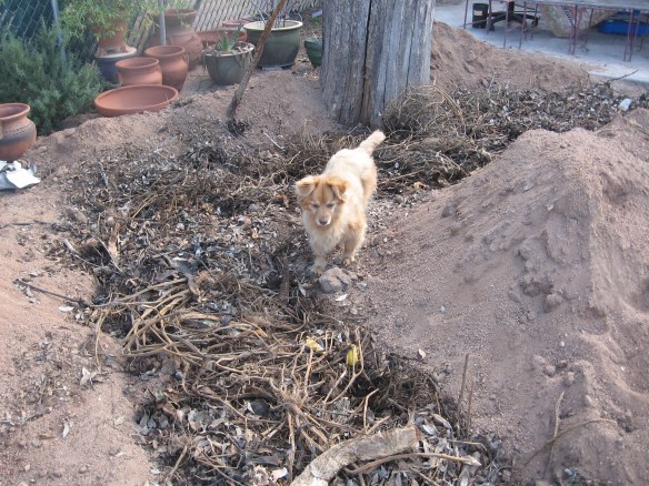 Little Red-Haired Girl living on the edge