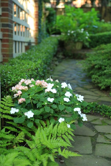 Image from http://columbiametro.com/Columbia-Metro/October-2015/A-Cottage-Garden/