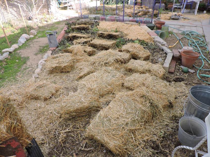 going under the straw