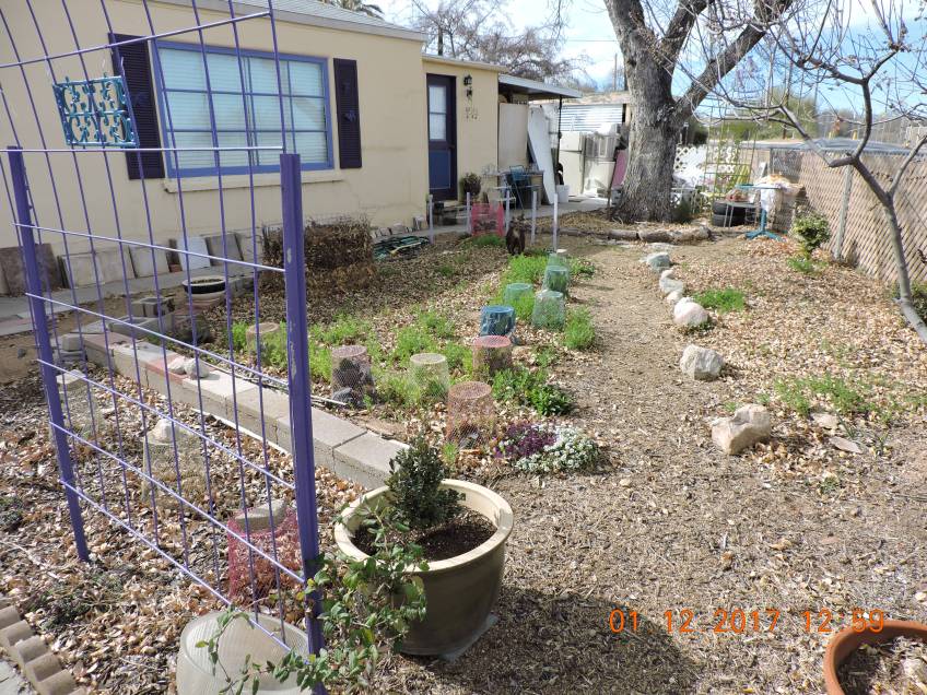 #NorthFacingFrontYard